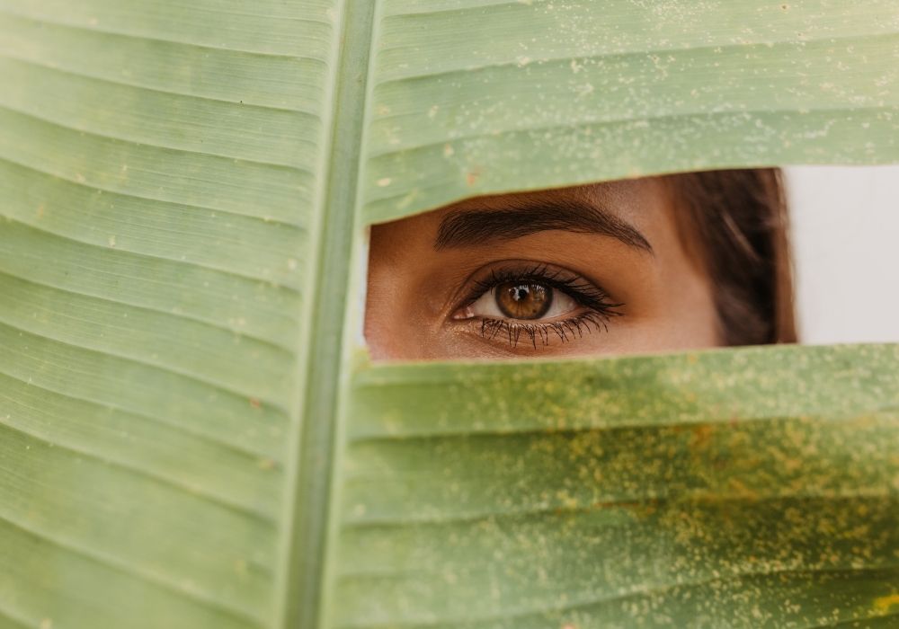 Teintutre et rehaussement 